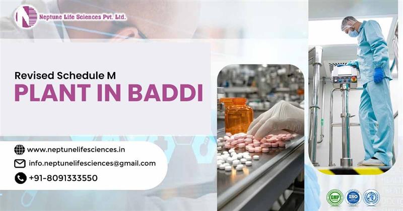 Revised Schedule M Plant in Baddi